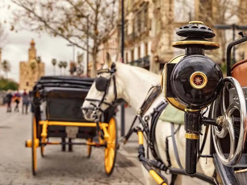 PASEO EN COCHE DE CABALLOS POR SEVILLA