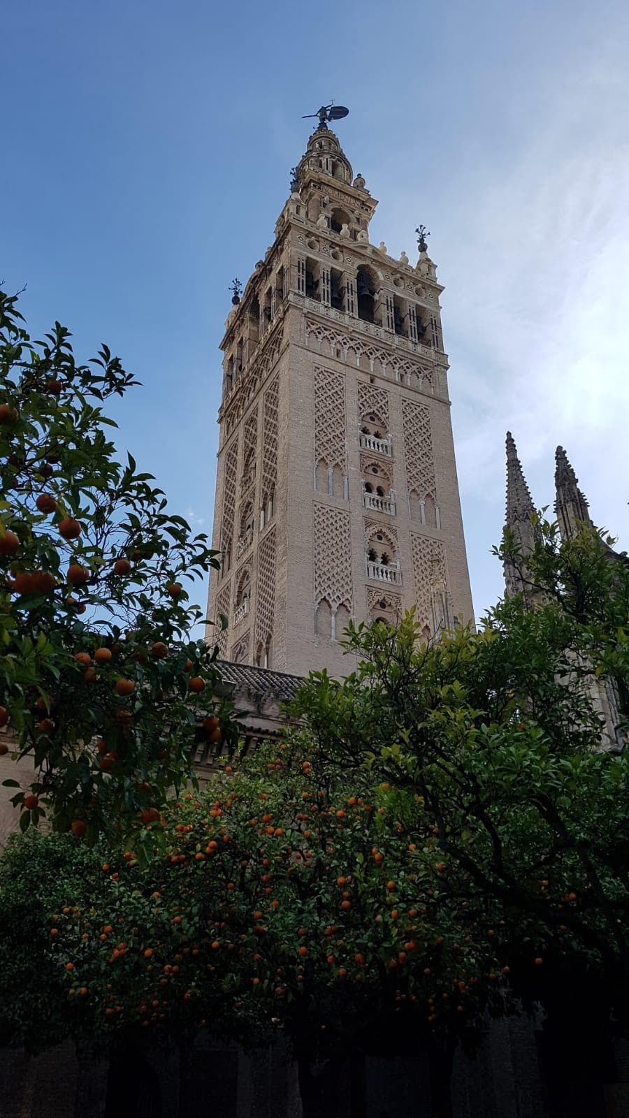 Visita guiada a la Catedral y la Giralda