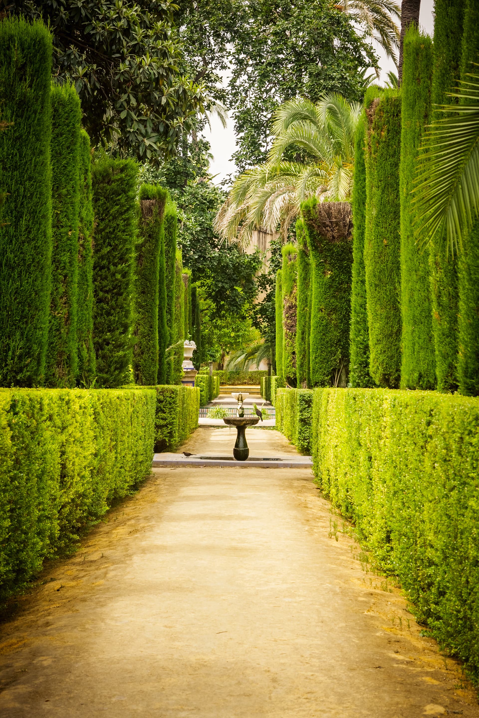 ALCAZAR 2